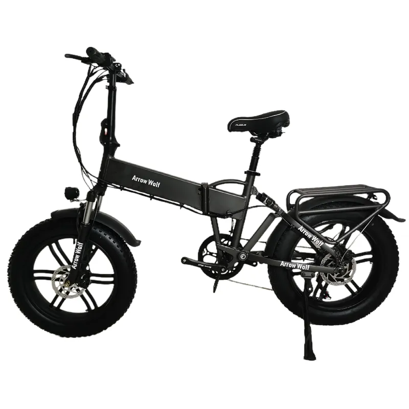 Lithium Battery Electric Bicycle