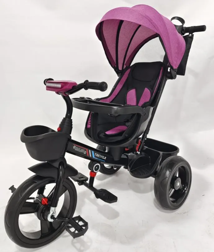 Child Tricycle With Canopy